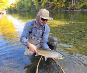 553447861_1159704576037094_2920458658363089108_n